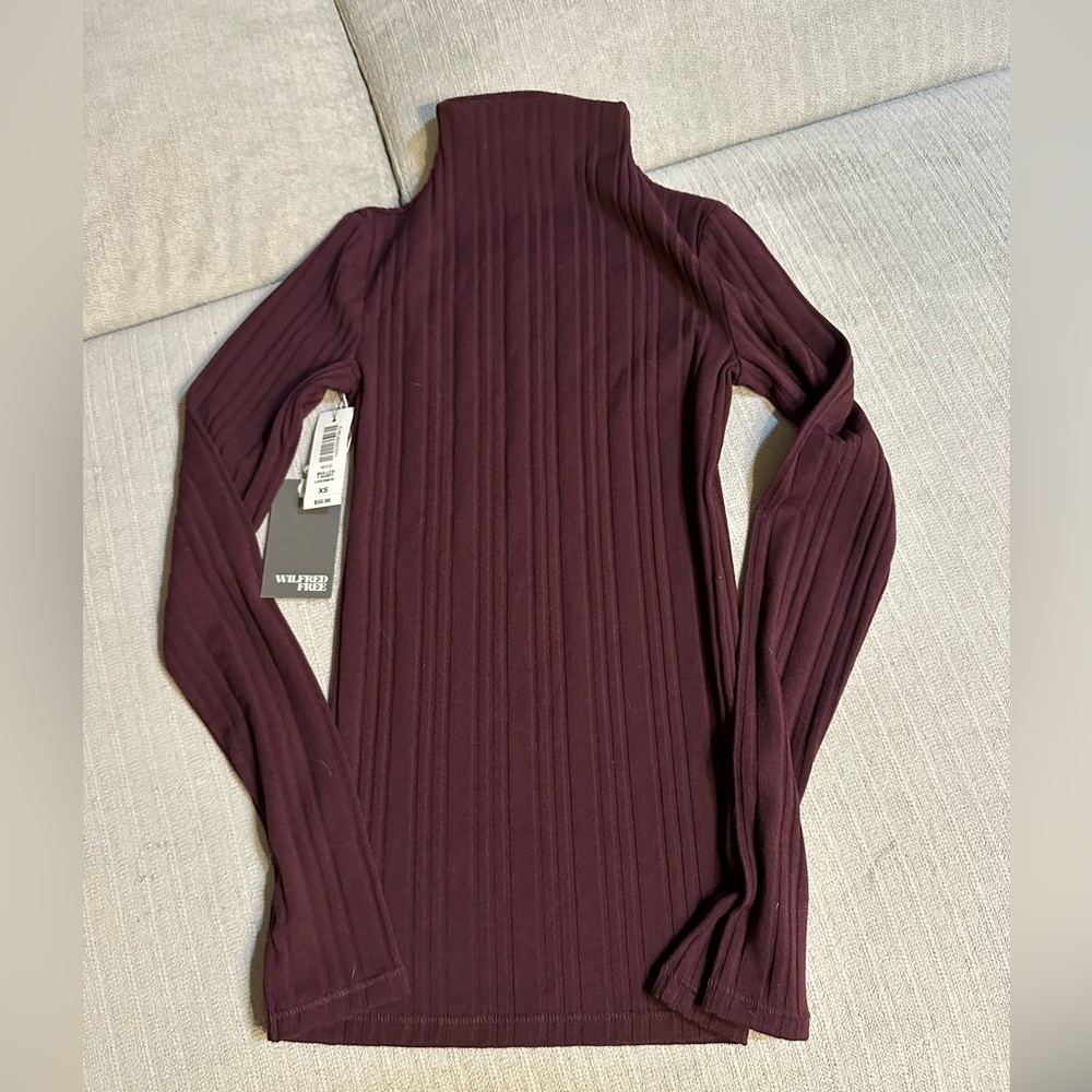 Aritzia turtleneck
